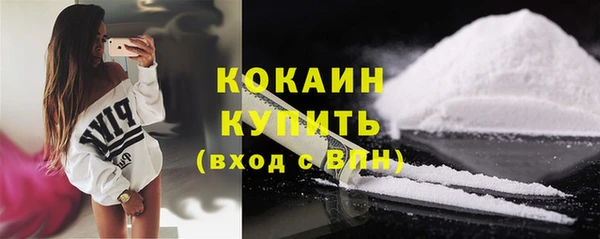 гидра Ельня