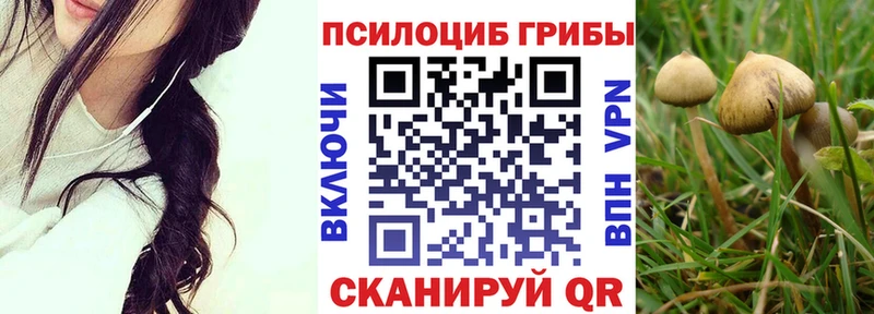 Галлюциногенные грибы Psilocybine cubensis  Печоры 